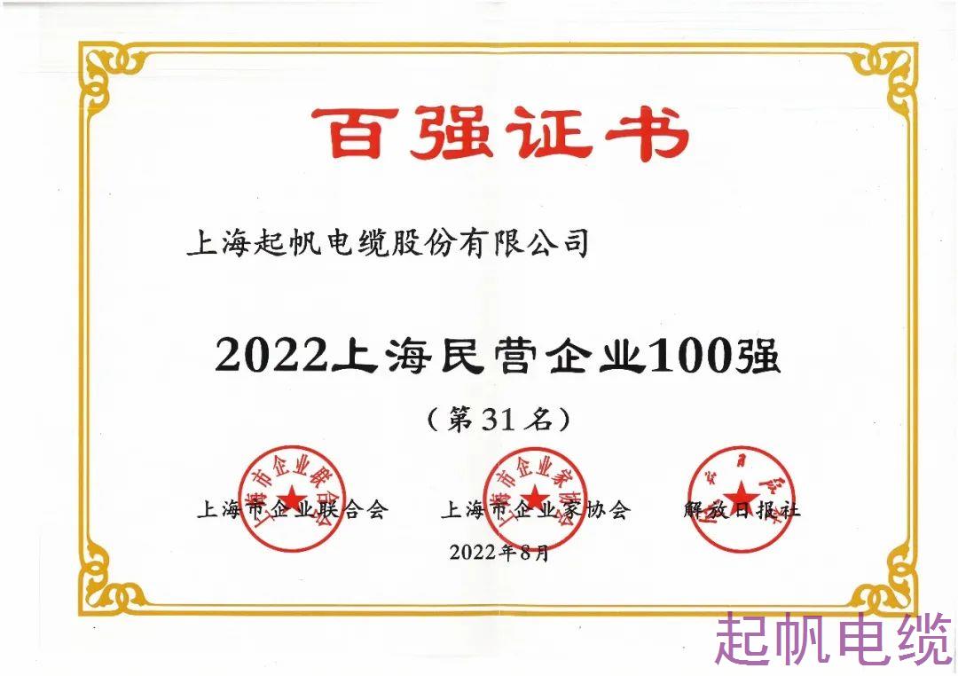 2022年上海民營企業100強